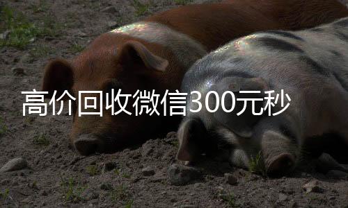 高价回收微信30回收微信在线交易0元秒结（高价24小时回收微信）
